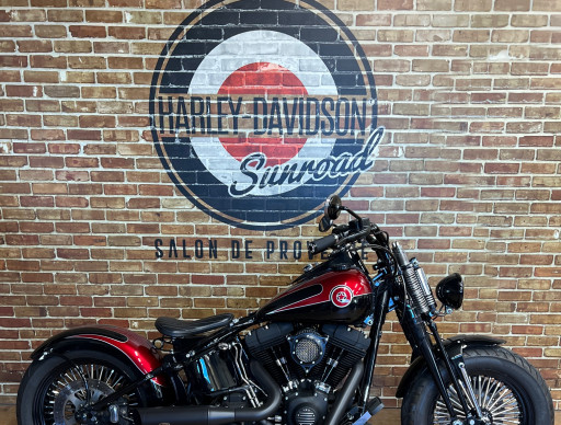 HARLEY-DAVIDSON SOFTAIL SPRINGER 1584 CROSS BONES