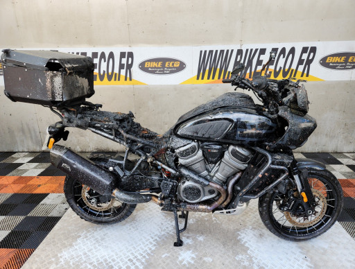 HARLEY-DAVIDSON ADVENTURE PAN AMERICA 1250 RSV (62234)