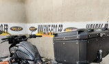 HARLEY-DAVIDSON ADVENTURE PAN AMERICA 1250 RSV (62234)