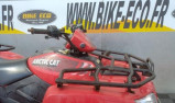 ARCTIC CAT TRV 500 (REF 59698)