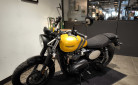 TRIUMPH SCRAMBLER 900 A2 