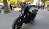 INDIAN SCOUT ROGUE 1133 