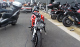 DUCATI 796 MONSTER Accidentée RSV N°16317