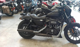 HARLEY-DAVIDSON SPORTSTER 883 N