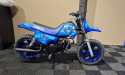 YAMAHA PW50 Stitch