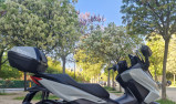 HONDA NSS FORZA 125 TOP BOX 2025