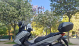 HONDA NSS FORZA 125 TOP BOX 2025