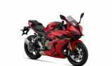 QJ MOTOR SRK 800 RR