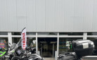 TRIUMPH Tiger 900 GT PRO