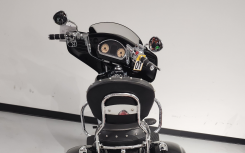 INDIAN CHIEFTAIN LIMITED 1800