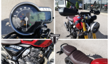 TRIUMPH Scrambler 400 X