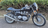 ROADSTER TRIUMPH THRUXTON 900 FI MOTORS 54