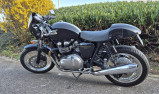 ROADSTER TRIUMPH THRUXTON 900 FI MOTORS 54
