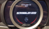 TRIUMPH SCRAMBLER 1200 XE 2025