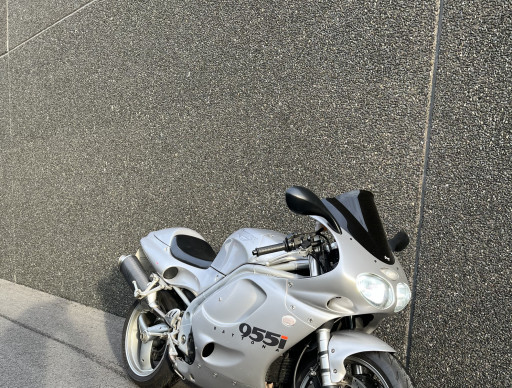 TRIUMPH DAYTONA 955i