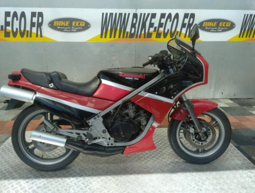 KAWASAKI KR 250 S (51002)