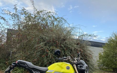 ZONTES 125 SCRAMBLER X