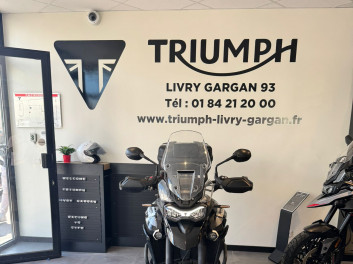 Triumph Tiger 900 GT Pro - 2022 - A2 - 15 856 km - 11990 € - 179€/mois