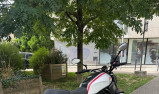 YAMAHA XSR 700 XTRIBUTE