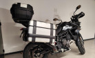 TRIUMPH Tiger 900 GT PRO