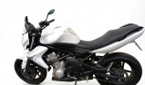 KAWASAKI ER-6 ACCIDENTE RSV 