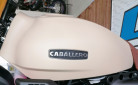 FANTIC CABALLERO 500 RALLY DESTOCKAGE 6666€ CHEZ DSN 33