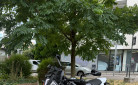 KTM 890 SMT