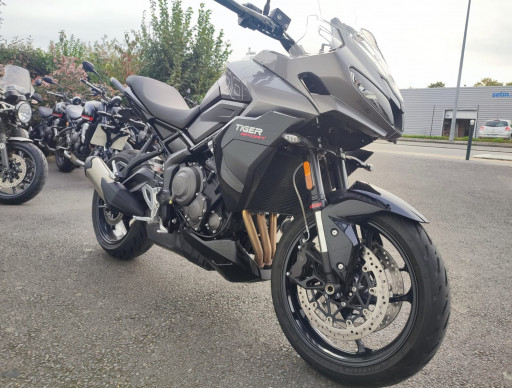 TRIUMPH TIGER 800