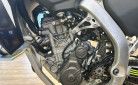 TRIUMPH TF 250-X