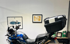 TRIUMPH TIGER 1200 GT PRO