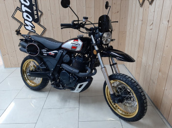 MASH X RIDE 650 17" 2023