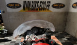 YAMAHA TZR 250 3MA REVERSE (49695)