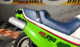 KAWASAKI KR 250 (60674) 