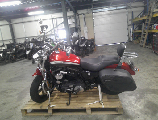 HARLEY-DAVIDSON SPORTSTER 1200 ACCIDENTE RSV N°22260