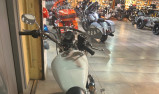 HARLEY-DAVIDSON SPORTSTER 883 LOW