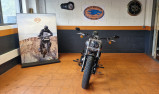 HARLEY-DAVIDSON SOFTAIL BREAKOUT 1690