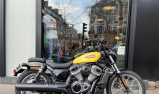 HARLEY-DAVIDSON SPORTSTER NIGHTSTER 975 SPECIAL