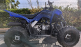 YAMAHA 110 RAPTOR