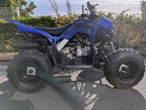 YAMAHA 110 RAPTOR