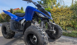YAMAHA 110 RAPTOR