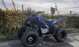 YAMAHA 110 RAPTOR