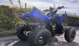 YAMAHA 110 RAPTOR