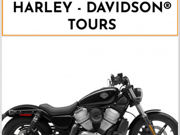 HARLEY-DAVIDSON SPORTSTER NIGHTSTER 975 SPECIAL