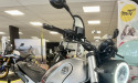BENELLI LEONCINO 500