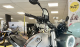 BENELLI LEONCINO 500