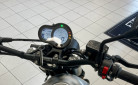 BENELLI LEONCINO 500
