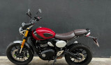 TRIUMPH Scrambler 400 X - A2