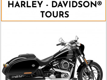 HARLEY-DAVIDSON SOFTAIL SPORT GLIDE 1745