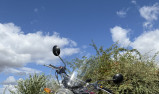 ROYAL ENFIELD INTERCEPTOR