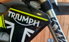 TRIUMPH TF 250-X